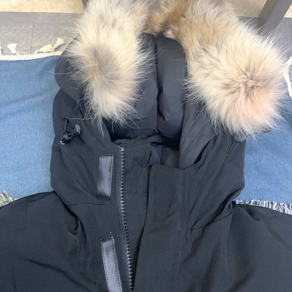 Outdoor sports hooded Canada goose adventure down jacket, good windproof effect - Picture 2 of 5
